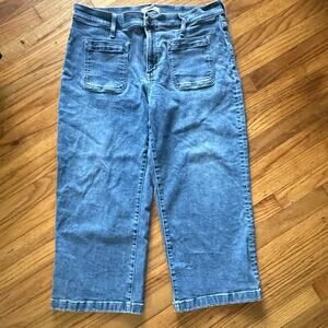 Madewell Perfect Vintage Wide-Leg Crop Jeans Candiani Denim 33P